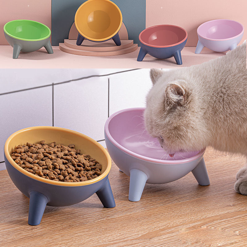 Ergonomic Raised Orthopedic Pet Bowl
