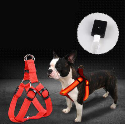 LED Rechargeable Safety Harness Set