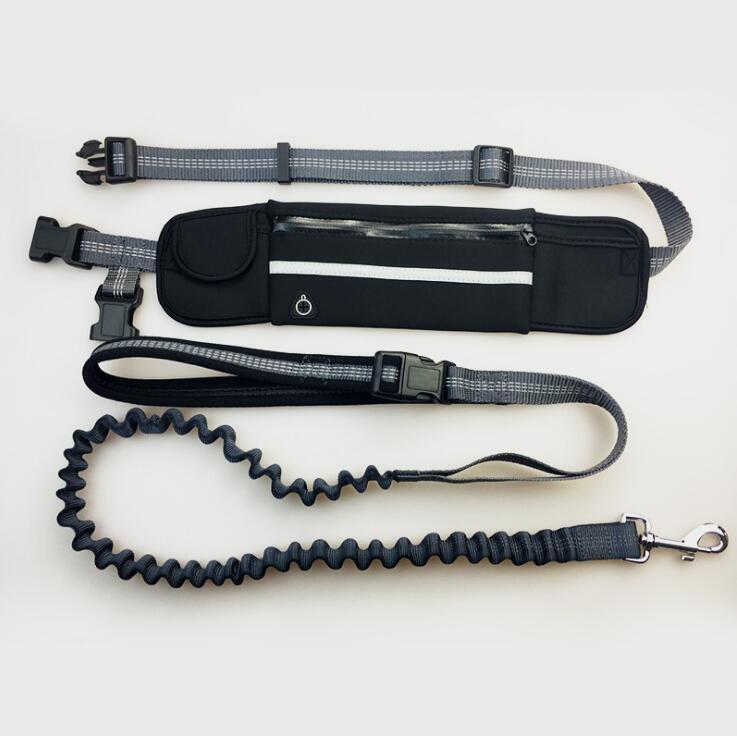 Hands-Free Bungee Running Leash