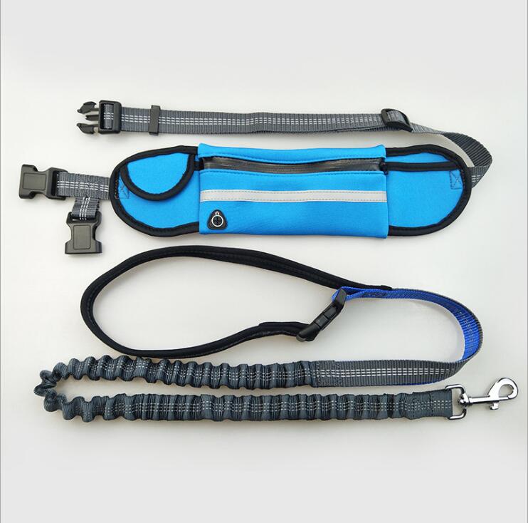 Hands-Free Bungee Running Leash
