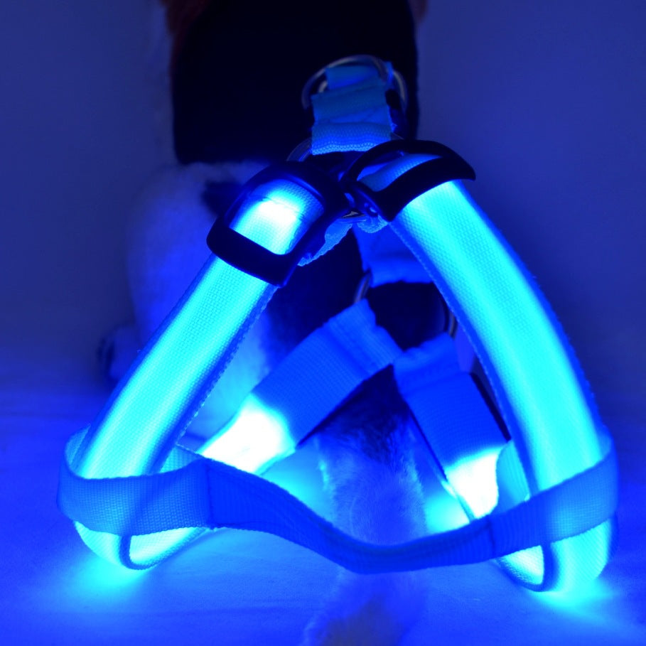 LED Rechargeable Safety Harness Set