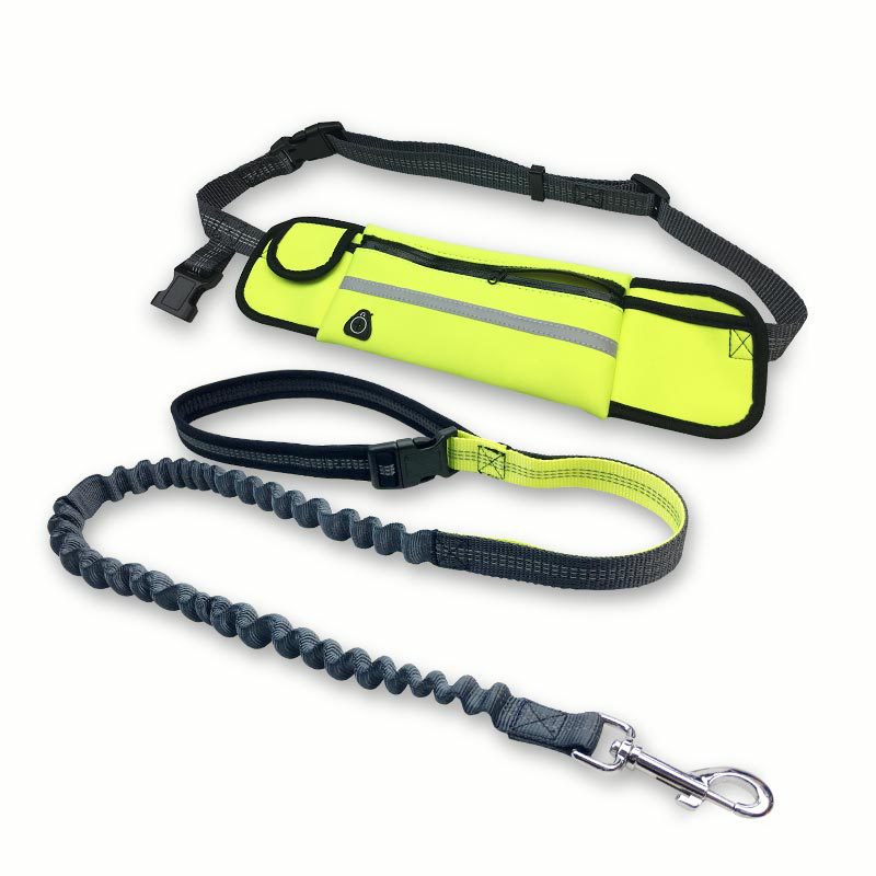 Hands-Free Bungee Running Leash